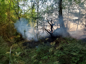U Bludova hoří les. Zasahuje i vrtulník a dron s termokamerou