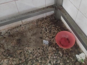 Inspektoři zavřeli restauraci v lázeňské obci Skalka. Uvnitř našli špínu a mrtvé hlodavce