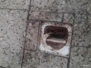 Inspektoři zavřeli restauraci v lázeňské obci Skalka. Uvnitř našli špínu a mrtvé hlodavce