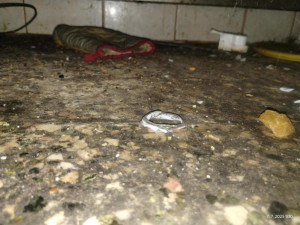 Inspektoři zavřeli restauraci v lázeňské obci Skalka. Uvnitř našli špínu a mrtvé hlodavce