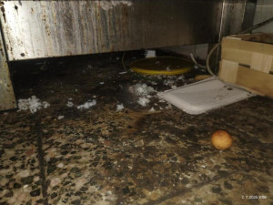 Inspektoři zavřeli restauraci v lázeňské obci Skalka. Uvnitř našli špínu a mrtvé hlodavce