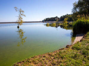 V Plumlovské přehradě je zhoršená kvalita vody, Poděbrady u Olomouce jsou v pořádku