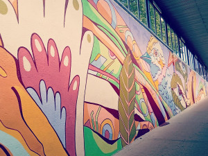 Francouzský malíř mění tvář podchodu v Olomouci. Omšelé zdi zkrášlí pestré motivy s místní symbolikou