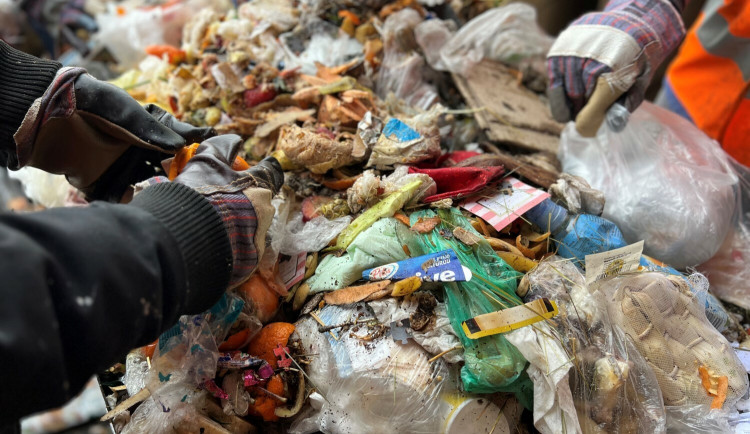 Kdo vyhodí více jídla? Výzkumnice Brňákům a Pražákům prohledaly popelnice