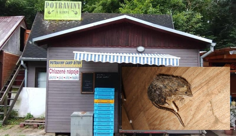 Špína a mrtvé myši na podlaze. Inspektoři zavřeli stánek v kempu Bítov
