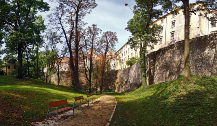 Jak vliv má zeleň na lidi, zkoumají olomoučtí vědci. Ve městě každopádně snižuje teplotu