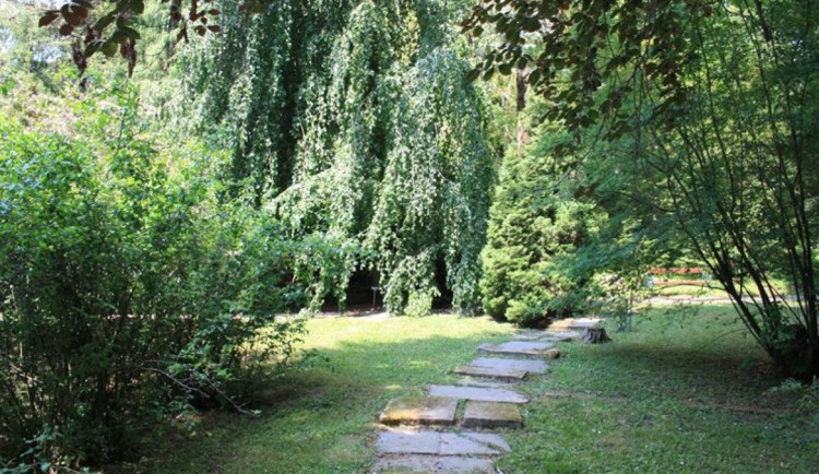 PŘEHLED: Arboretum, čarodějnice, Andělárium. Navštivte výjimečná místa v Olomouckém kraji