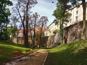 Jak vliv má zeleň na lidi, zkoumají olomoučtí vědci. Ve městě každopádně snižuje teplotu