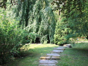 PŘEHLED: Arboretum, čarodějnice, Andělárium. Navštivte výjimečná místa v Olomouckém kraji