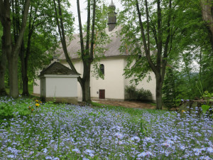 POUTNÍ MÍSTA V KRAJI: U Bludova vytvořily včely z vlastního vosku monstranci