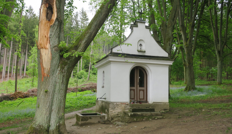 POUTNÍ MÍSTA V KRAJI: U Bludova vytvořily včely z vlastního vosku monstranci