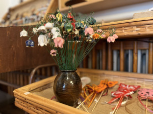 Hanácká ambasáda na zámku v Čechách pod Kosířem končí. Pokračování je ve hvězdách