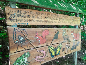 TIP NA VÝLET: Klucanina, to je rozhledna, herní stezka i Tišnovské Stonehenge