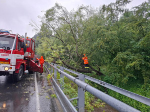 Odstraňování stromu přes řeku v Žulové