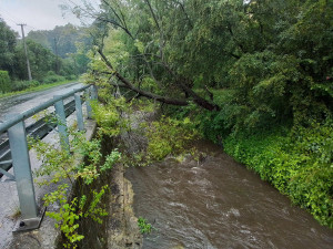Odstraňování stromu přes řeku v Žulové