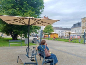 Prostějov postavil na náměstí slunečníky, vzrostlé habry a další stromy však plánuje pokácet