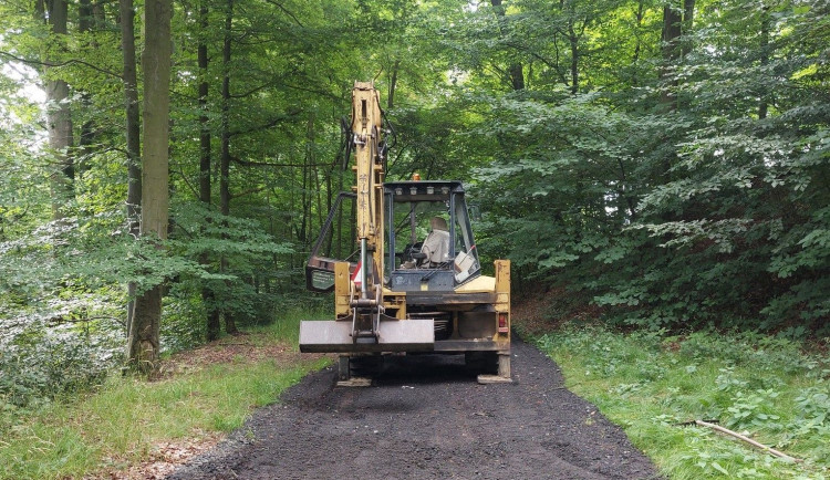 Náchod krotí neposlušné návštěvníky náchodských lesů, komplikují opravy cest