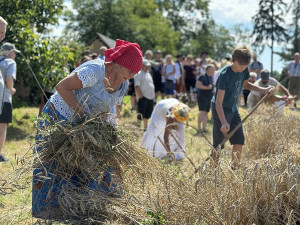 TIP NA VÍKEND: Sklizeň jako za starých časů. Tradiční žně na Hané přiblíží muzeum v Příkazích