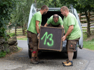 Pekari bělobradý na Svatém Kopečku. Zoo Olomouc chová nový vzácný druh
