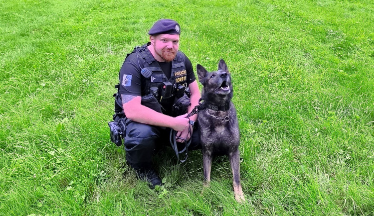 Pes Rey v Orlové pomohl objasnit vloupání. Policisty dovedl až k lupičům