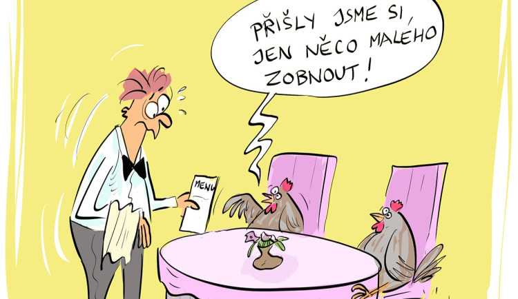 ORAŽENÉ OBRÁZKY: Srpnová dávka vtipů od kreslíře Jana Tatarky