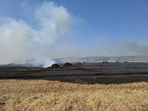 Padesát balíků slámy v plamenech. Hasiči likvidovali požár pole a zemědělského stroje u Dlouhé Loučky