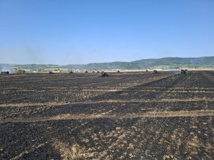 Padesát balíků slámy v plamenech. Hasiči likvidovali požár pole a zemědělského stroje u Dlouhé Loučky