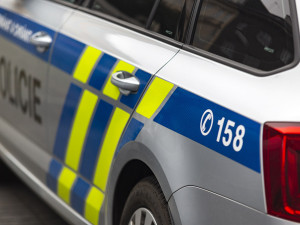 Na sídlišti v Hranicích zemřel pes zavřený v bytě. Policie vyšetřuje týrání zvířat