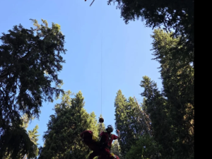 Do odlehlé rokle v údolí Bílé Opavy se zřítil turista a poranil si hlavu. Letěl pro něho vrtulník
