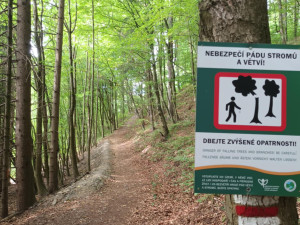 TIP NA VÝLET: Zkamenělý zámek nabízí procházku čarokrásným údolím. Bonusem jsou jeskyně