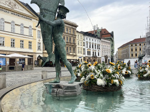 U želv plují květinové kruhy. Arionova kašna v Olomouci ožila atraktivní úpravou