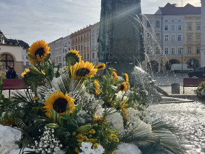 U želv plují květinové kruhy. Arionova kašna v Olomouci ožila atraktivní úpravou