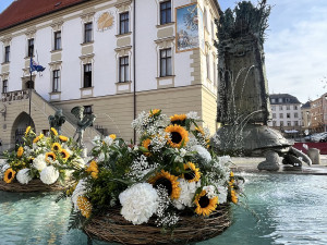 U želv plují květinové kruhy. Arionova kašna v Olomouci ožila atraktivní úpravou