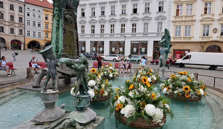 Květinová dekorace Arionovy kašny v Olomouci