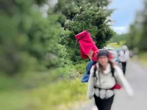 Z výletu i s fošnou. Čekatelka stráže přírody v Jeseníkách přistihla nenechavou turistku
