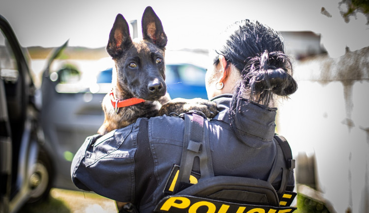Policejní nováčci v Olomouckém kraji nově získávají náborový příspěvek 110.000 Kč