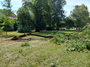 Nehody na D35 i poničené střechy. Vichr udeřil v Olomouckém kraji, hasiči řeší desítky událostí