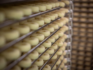 Přístavba i plán nové továrny. Výrobce tvarůžků v Lošticích postupuje s klíčovými investicemi