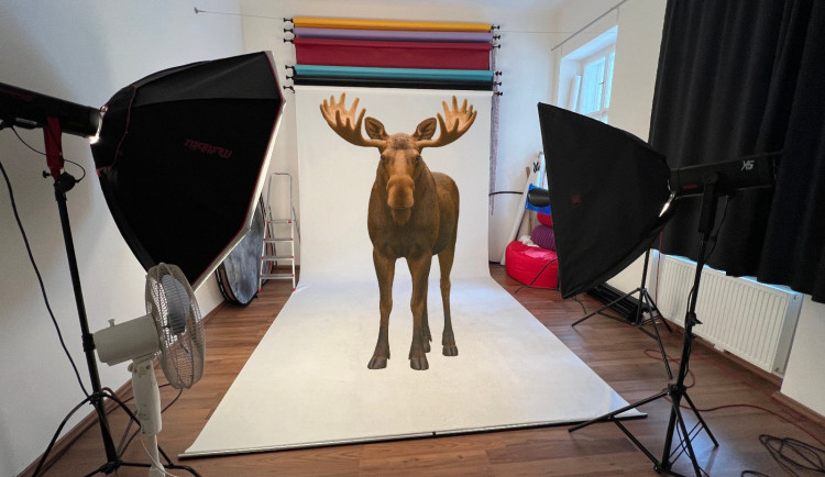 Los v ateliéru, bance nebo kavárně. Emil se stal za hranicemi marketingovým tahákem