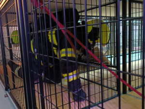 FOTOGALERIE: Kouř, stísněné prostory, dětský pláč. Hasiči v Hamrech otevřeli unikátní výcvikový trenažér