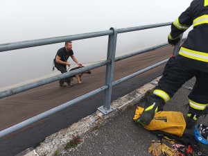 Německý ovčák vběhl v mlze do nádrže elektrárny Dlouhé stráně, prudký svah ho uvěznil