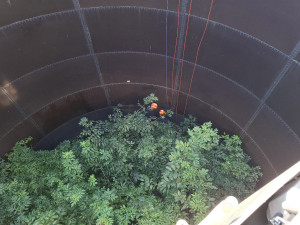 VIDEO: Mladý čáp spadl v Jeseníku do zemědělské jímky. Do desetimetrové hloubky se vydali hasiči