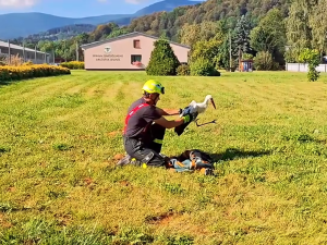 VIDEO: Mladý čáp spadl v Jeseníku do zemědělské jímky. Do desetimetrové hloubky se vydali hasiči