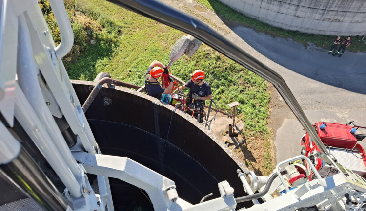 Mladý čáp spadl v Jeseníku do zemědělské jímky. Do desetimetrové hloubky se vydali hasiči