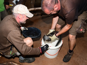 Nový binturong v olomoucké zoo. Ošetřovatelé se k mláděti dostali až po několika týdnech