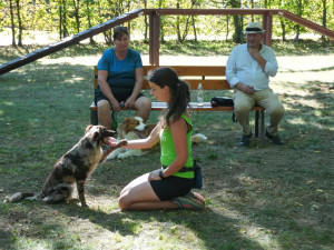 V Litovli mají nové psí hřiště. Mazlíčci mohou využít i pisoáry