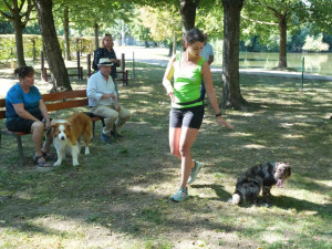 V Litovli mají nové psí hřiště. Mazlíčci mohou využít i pisoáry
