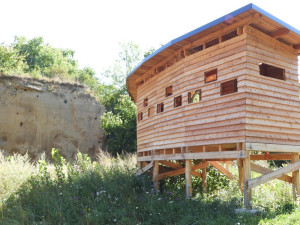 Léto se blíží ke konci. Do teplých krajin odlétají i vlhy pestré