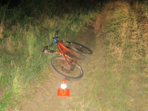Na polní cestě u Rokytnice cyklistu srazila srna. Zasahovala policie