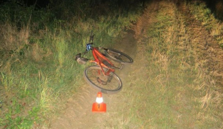 cyklistu srazila srna